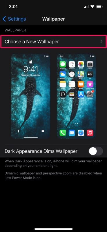 How to Set a Video as Live Wallpaper on iPhone & iPad Lock Screen (Easy Guide)