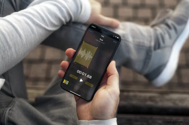 How to Easily Trim Voice Memos on iPhone and iPad: Step-by-Step Guide