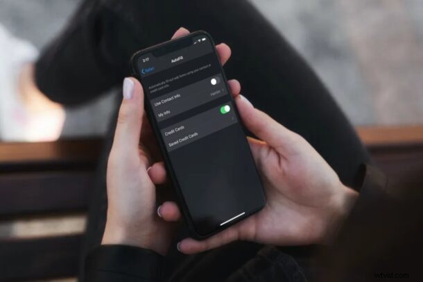 How to Edit AutoFill Information on iPhone & iPad: Simple Step-by-Step Guide