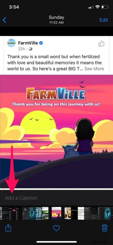 How to Add Captions to Photos on iPhone & iPad: Easy Step-by-Step Guide