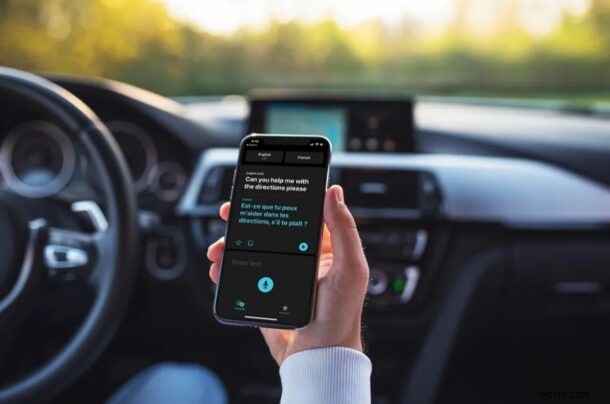 How to Translate Text on iPhone & iPad: Step-by-Step Guide