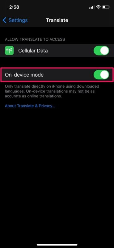 How to Enable On-Device Translation Mode on iPhone: Step-by-Step Guide