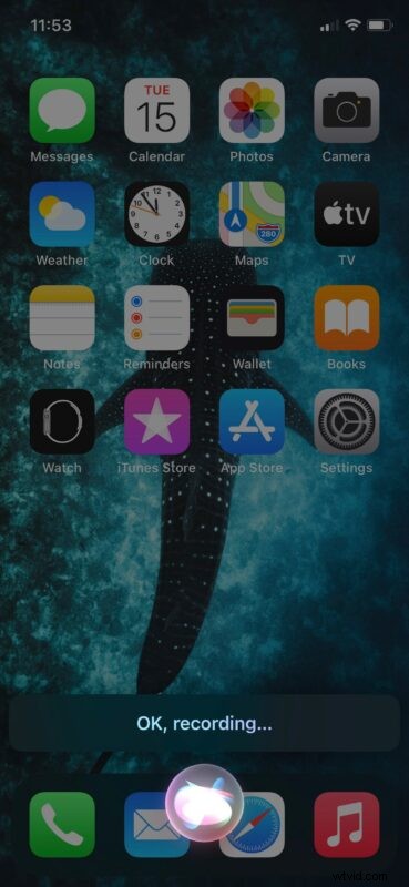 Send Audio Messages Hands-Free with Siri on iPhone: Easy Step-by-Step Guide