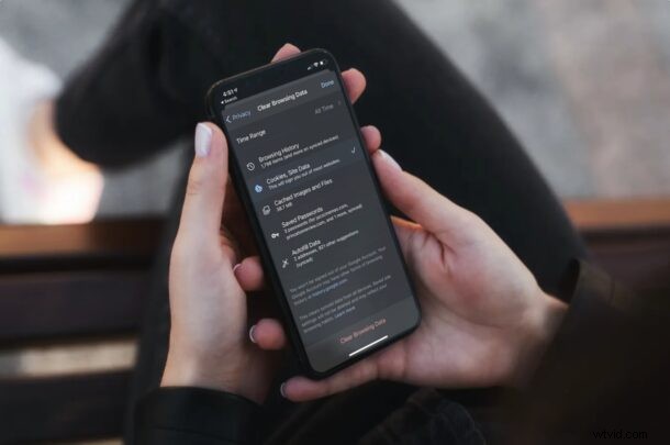 How to Clear Cookies and Website Data in Chrome on iPhone and iPad – Quick Guide