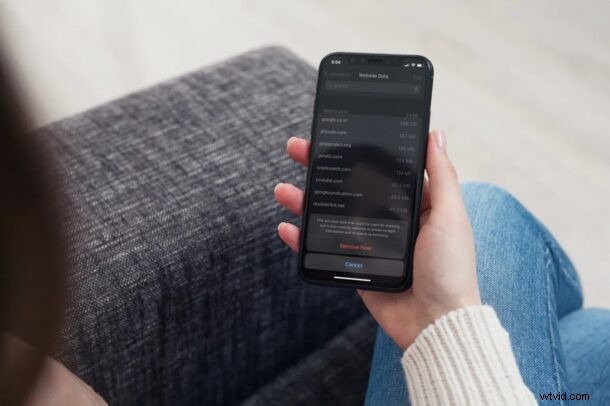 How to Clear Only Safari Cookies on iPhone & iPad Without Deleting History