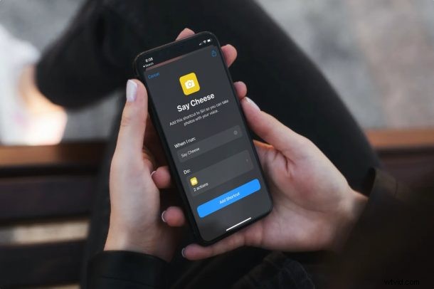 How to Take Hands-Free Photos on iPhone & iPad Using Siri: Easy Guide