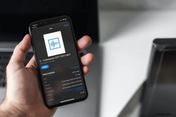 How to View and Copy File Paths in the Files App on iPhone & iPad