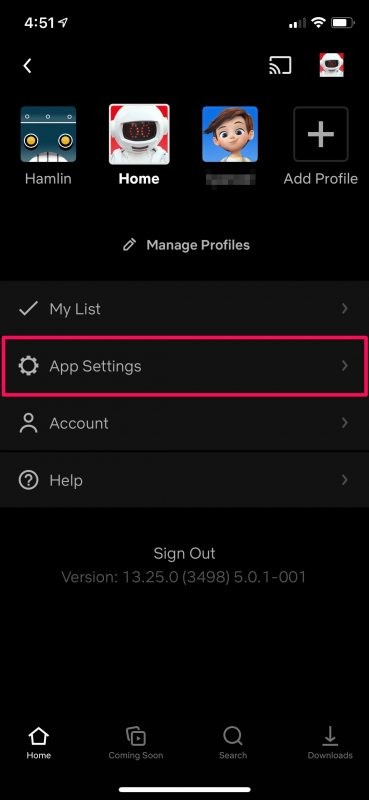 How to Enable Low Data Mode on Netflix for iPhone: Save Cellular Data While Streaming