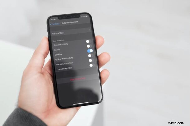 How to Clear Cookies in Firefox or Opera on iPhone & iPad: Step-by-Step Guide