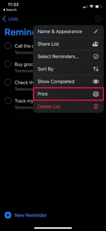 How to Export Reminders Lists as PDF on iPhone and iPad: Easy Step-by-Step Guide