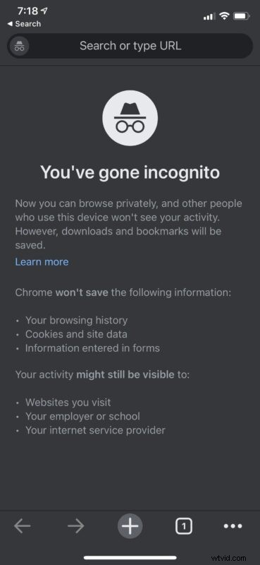 How to Enable Incognito Mode in Google Chrome on iPhone, iPad, and Mac: Step-by-Step Guide