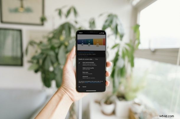 Master YouTube Video Quality Settings on iPhone & iPad: Step-by-Step Guide
