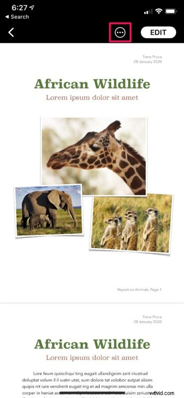 How to Easily Export Pages Documents to Word on iPhone & iPad