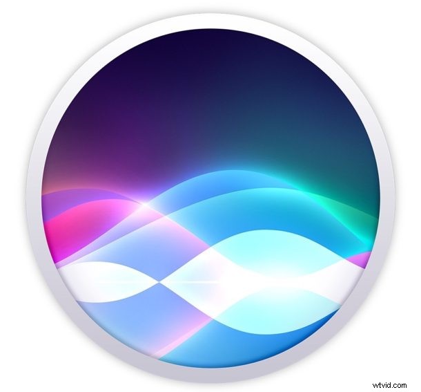 How to Enable Siri’s New Gender-Neutral Voice: Step-by-Step Guide