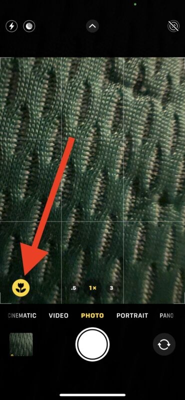 Master Stunning Macro Photography on iPhone 13 Pro: Easy Step-by-Step Guide