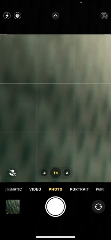 Master Stunning Macro Photography on iPhone 13 Pro: Easy Step-by-Step Guide