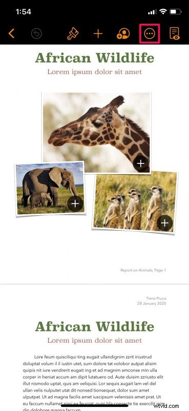 How to Easily Check Word Count in Pages on iPhone and iPad