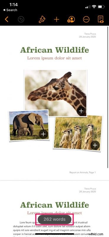 How to Easily Check Word Count in Pages on iPhone and iPad