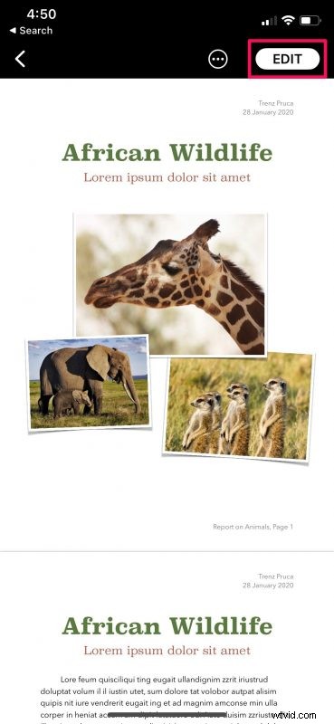 Master Reading View in Apple Pages, Numbers, and Keynote: Step-by-Step Guide