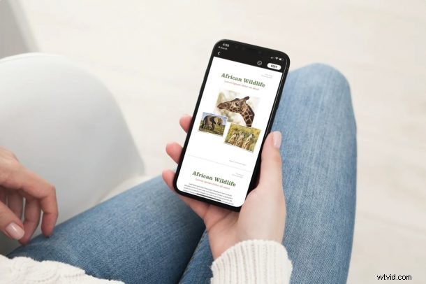 Master Reading View in Apple Pages, Numbers, and Keynote: Step-by-Step Guide