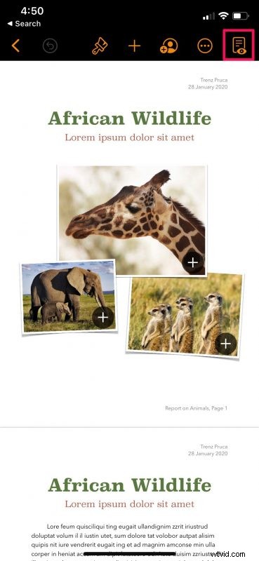 Master Reading View in Apple Pages, Numbers, and Keynote: Step-by-Step Guide