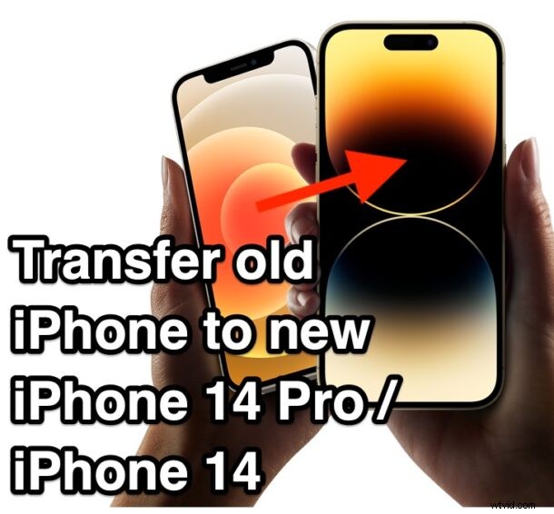 Seamless Data Transfer: Old iPhone to iPhone 14 Pro or iPhone 14 – Easy Step-by-Step Guide