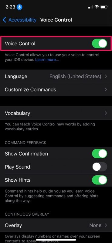 Unlock Your iPhone Hands-Free: Voice Control Accessibility Guide