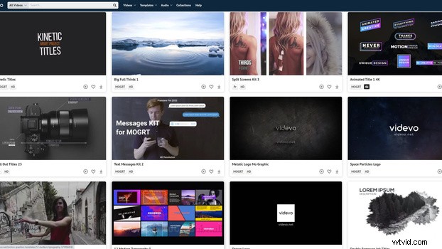 Professional Premiere Pro & After Effects Templates to Skyrocket Your Audience Growth