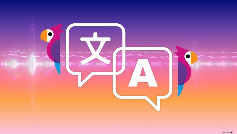 Squid Game s Global Launch Strategy: Simon Says Transcription s Path to Success