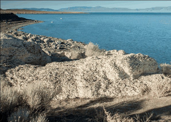 California in 4 Minutes: Discover Stunning Natural Wonders and Iconic Urban Landscapes