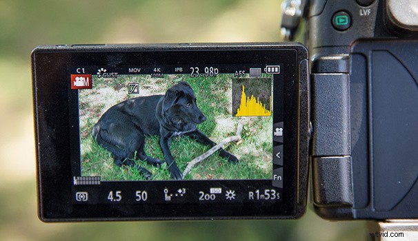 Panasonic Lumix GH4 Review: Fstoppers Verdict on Professional Readiness