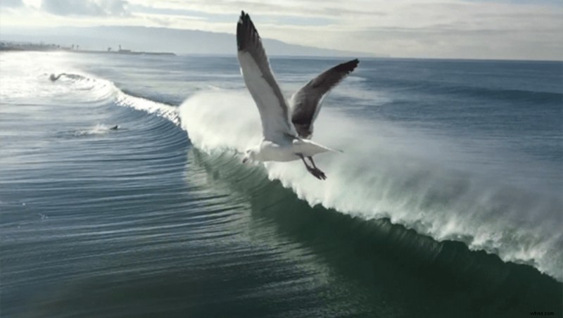 Discover 7 Stunning Films Newly Added to Apple s Shot on iPhone 6 World Gallery