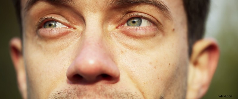 RED Collective: Stijn Verlinde s Stunning 4K Short on the Ultimate EDM Festival