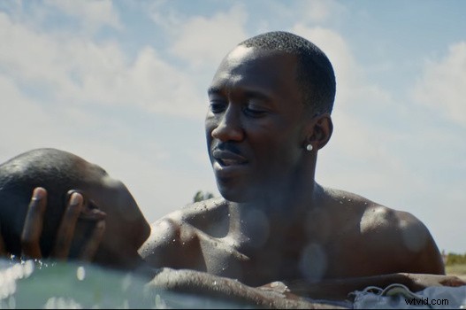 How an Outsider Mastered the Intimate Cinematography of Oscar-Winning  Moonlight —Inspired by Iconic Photographs