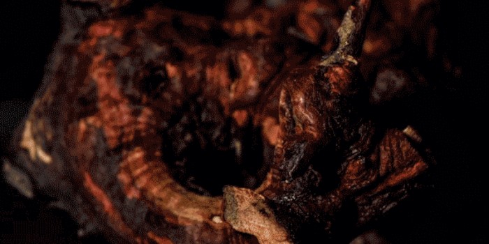 WoodSwimmer: Captivating Stop-Motion Animation Carved from Thin Wood Layers