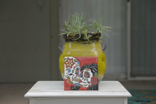 Camera Picture Profiles Explained: Master Settings for Stunning Shots