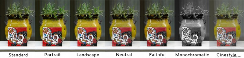 Camera Picture Profiles Explained: Master Settings for Stunning Shots