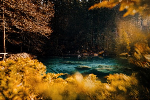 Lutify.me LUTs: Seamless Compatibility for Capture One and Lightroom