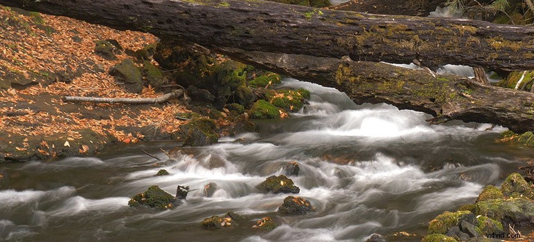 Elevate Your Time-Lapses: Master the Hybrid Timelapse Technique