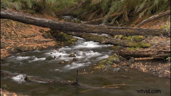 Elevate Your Time-Lapses: Master the Hybrid Timelapse Technique
