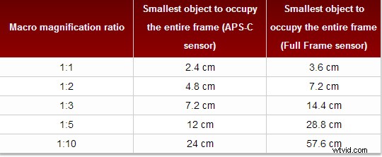 Nanoha 5X Super Macro Lens Review: Master Extreme Close-Up Photography