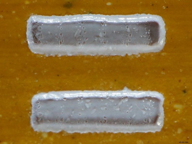 Nanoha 5X Super Macro Lens Review: Master Extreme Close-Up Photography