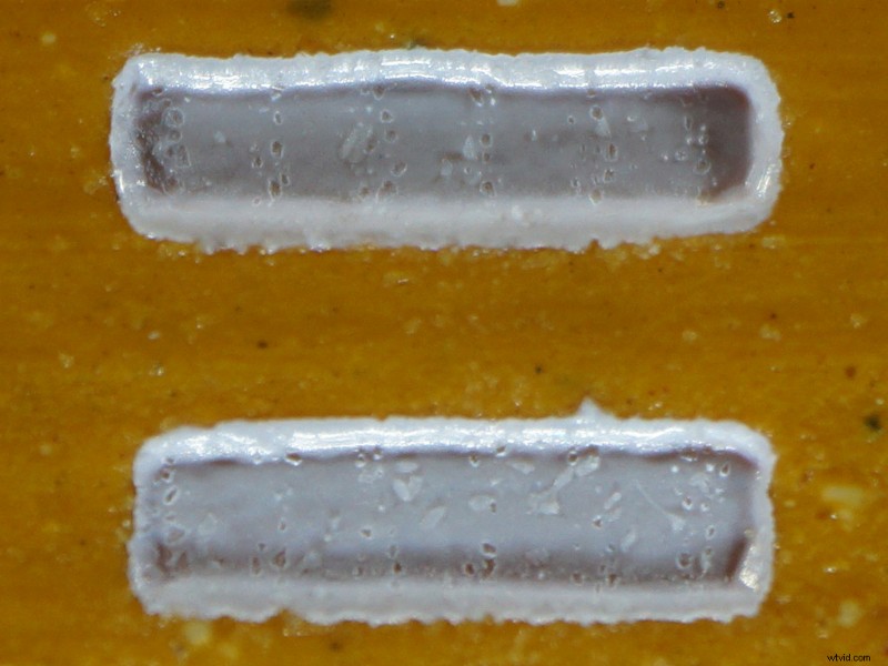 Nanoha 5X Super Macro Lens Review: Master Extreme Close-Up Photography