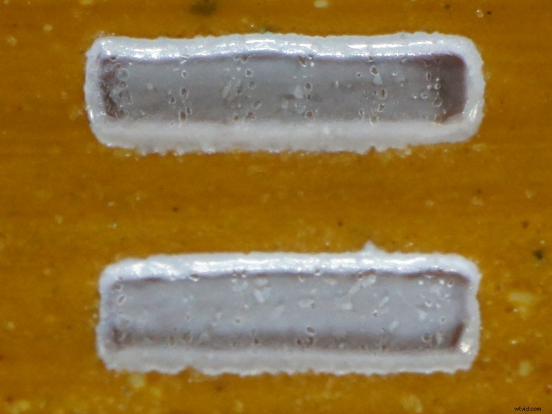 Nanoha 5X Super Macro Lens Review: Master Extreme Close-Up Photography