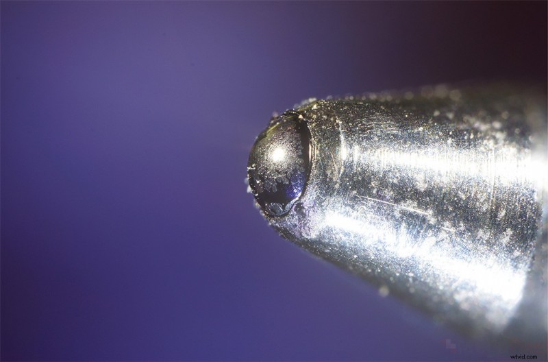 Nanoha 5X Super Macro Lens Review: Master Extreme Close-Up Photography