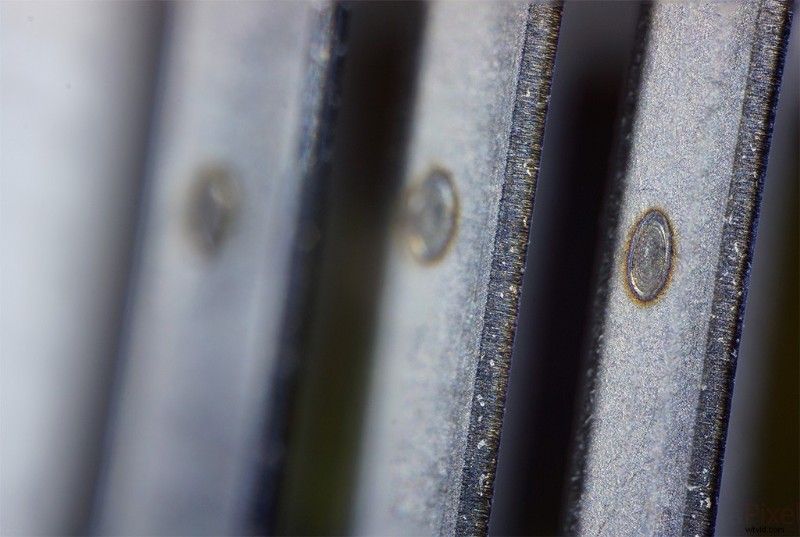 Nanoha 5X Super Macro Lens Review: Master Extreme Close-Up Photography