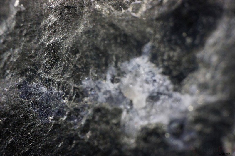 Nanoha 5X Super Macro Lens Review: Master Extreme Close-Up Photography