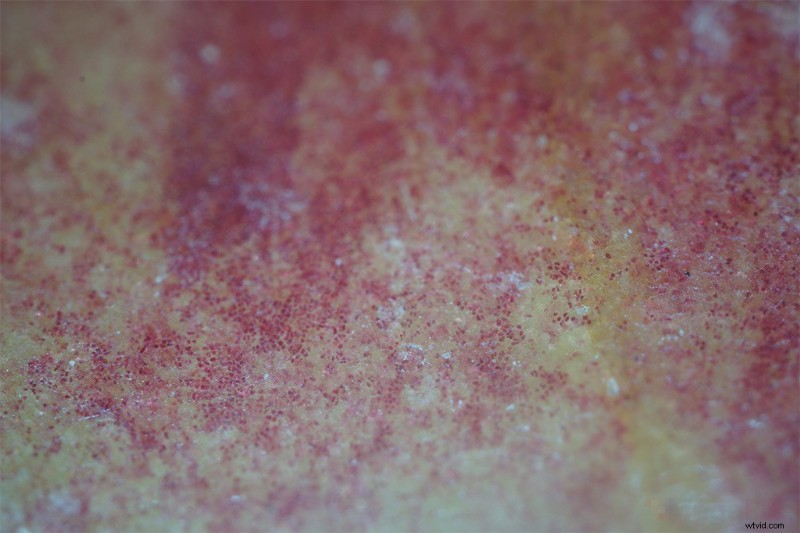 Nanoha 5X Super Macro Lens Review: Master Extreme Close-Up Photography