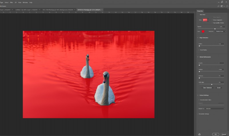Photoshop CC AI Select Subject Tool Review: Performance and Features Tested