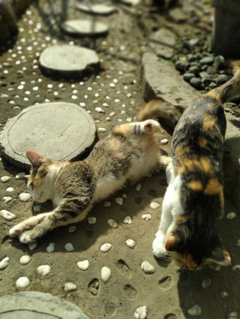 Engage Millennials & Gen Z: Master Long-Form Video Strategies for Success